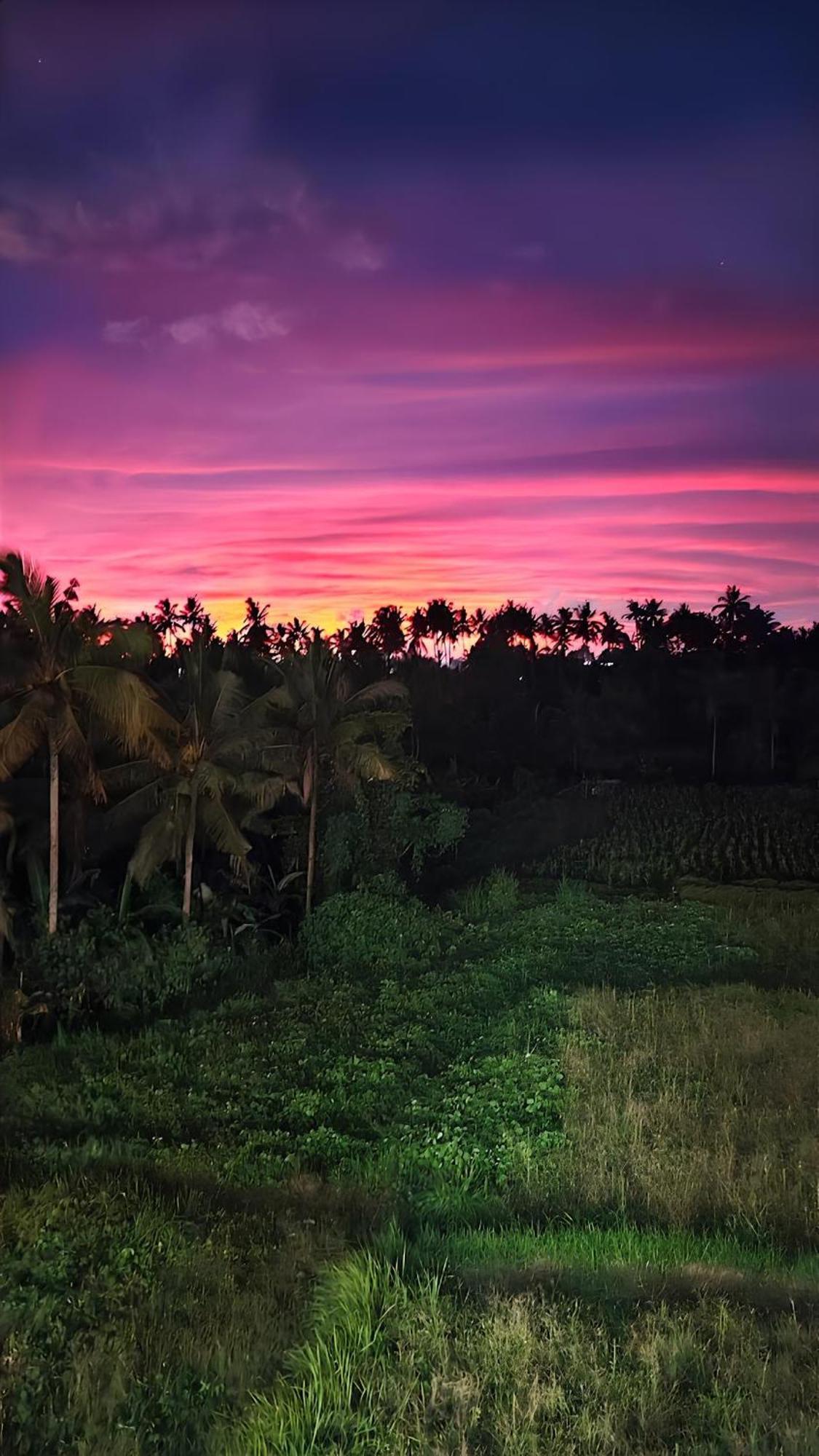 Wadari Retreat Villa Ubud Exterior foto